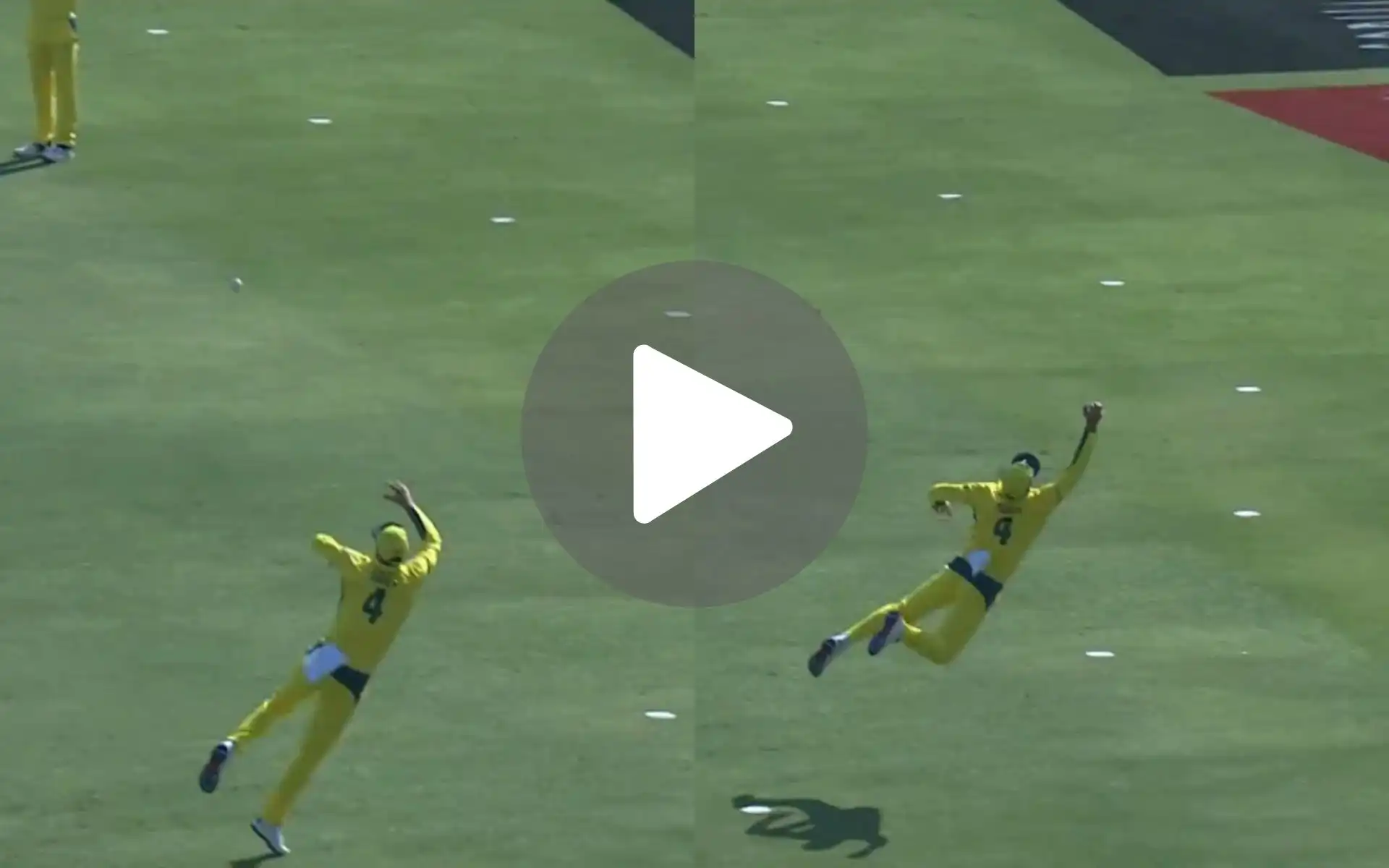 [Watch] Greatest Catch In Champions Trophy! Flying Alex Carey Stuns Phil Salt With A Screamer